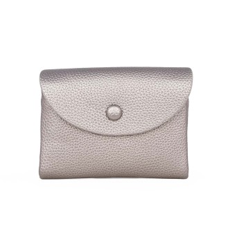 Women's Silver wallet 