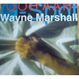 Wayne Marshall ‎– G Spot (Ooh Aah) (Vinyl, 12