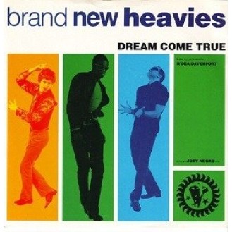Brand New Heavies ‎– Dream Come True (Vinyl, 7